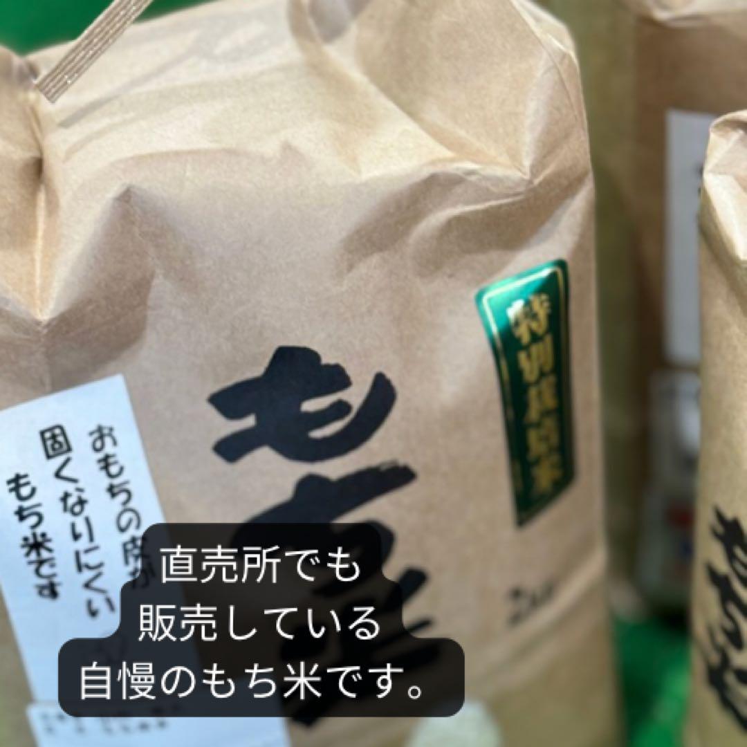 令和5年度　もち米10キロ【玄米】