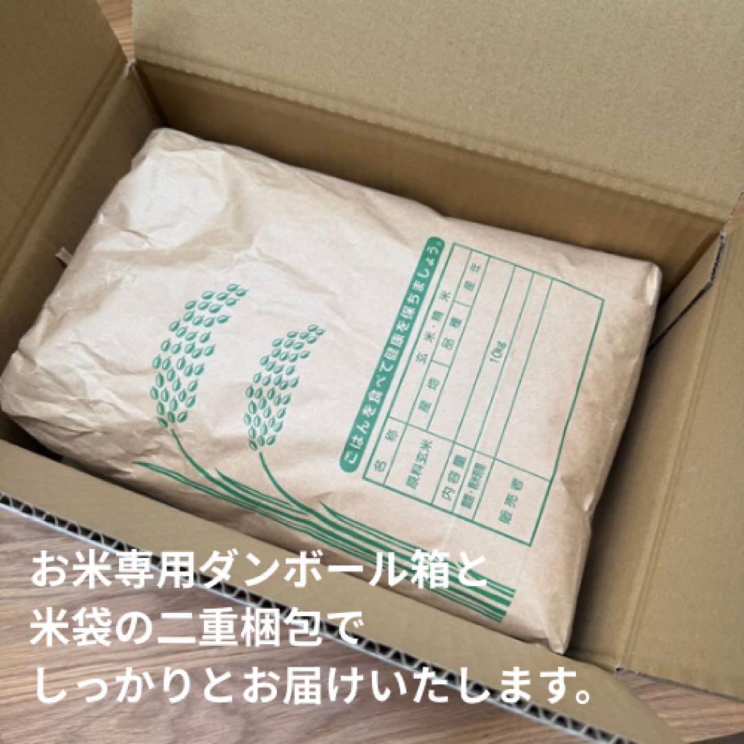 令和5年度　もち米10キロ【玄米】