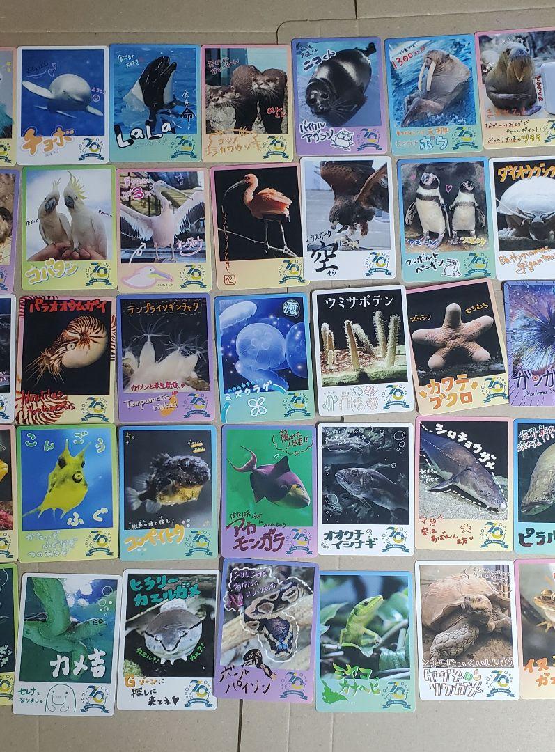 鳥羽水族館⭐️コレクションカード⭐️ノーマルカード⭐️全72種⭐️アルバム入り 鳥羽水族館 コレクションカード ノーマル 72種類 コンプリート