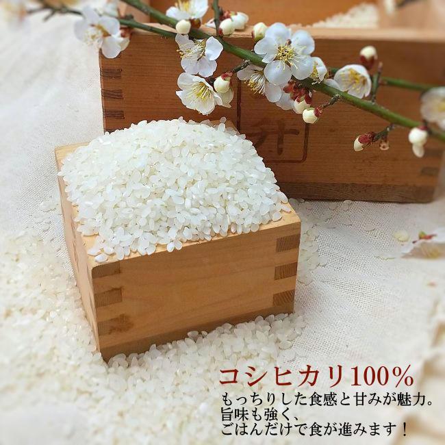 オンライン ストア食品・飲料・酒 - 近江米 滋賀県産 新米