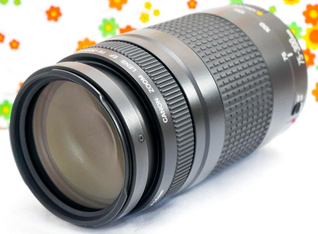 NEW限定品】 キャノン Canon EF 75-300mm Ⅱ☆超望遠レンズ♪☆大人気！ レンズ(ズーム)