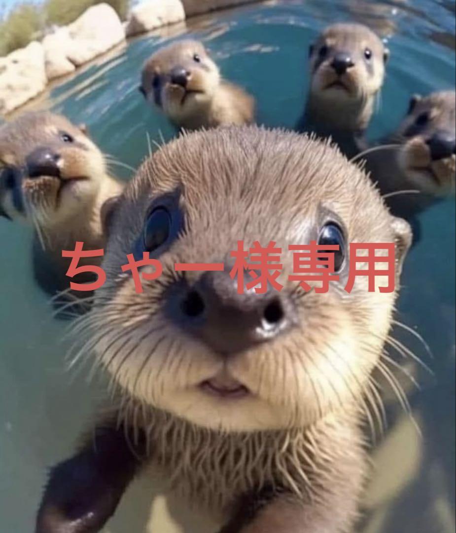 ちゃー