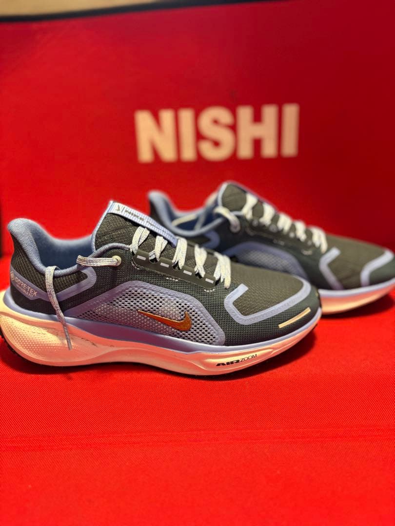 Nike GORE-TEX ズームペガサス41 ランニングシューズ25.5cm