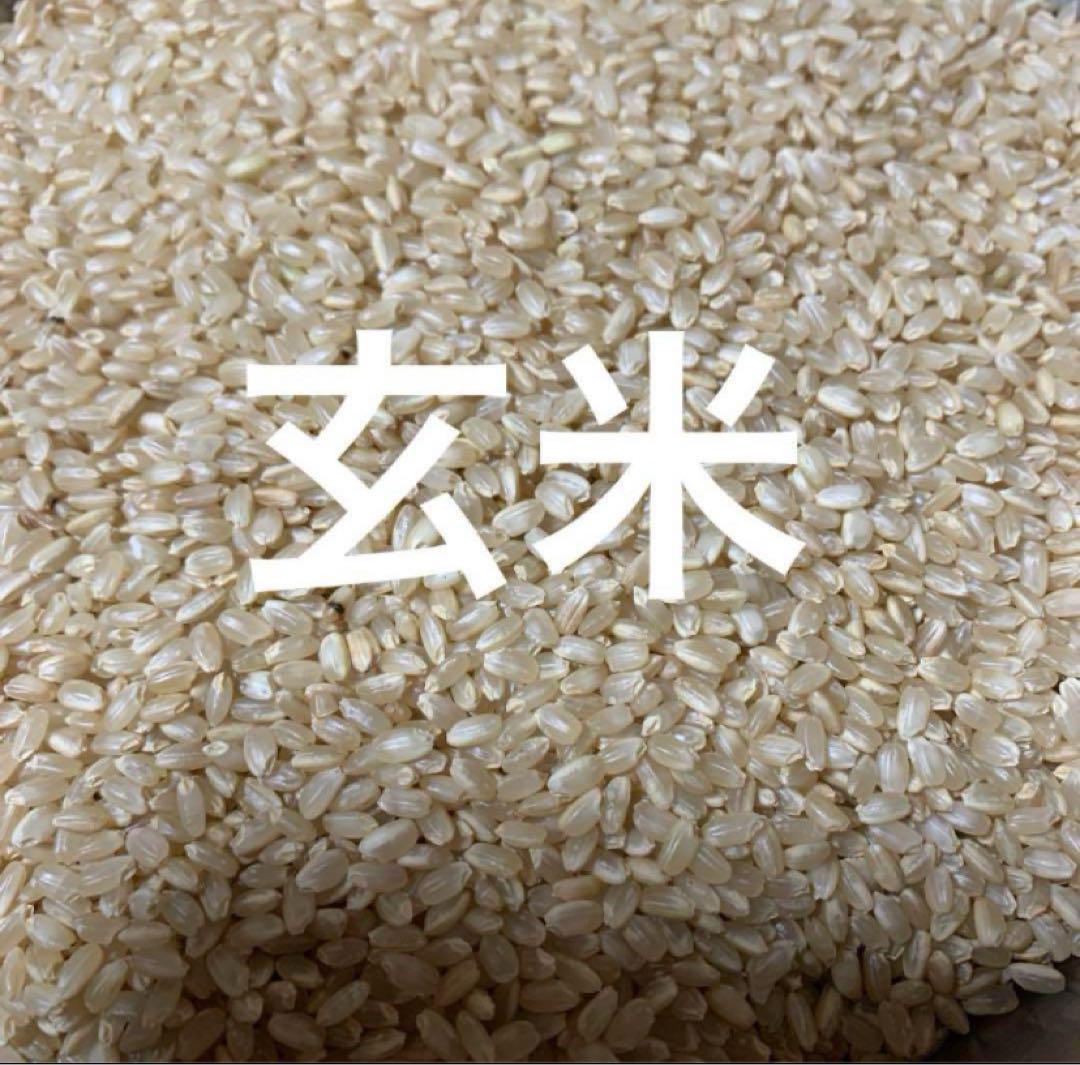 B*s様 オークション【生産者直送】令和6年産 新米 和歌山県産 ひのひかり