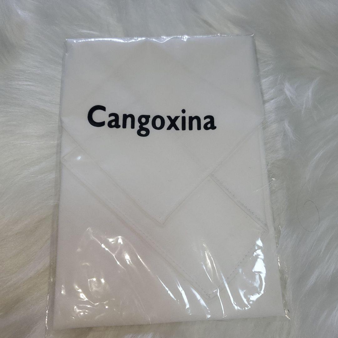 新品 大河ドラマ 西郷どん 大河ドラマ館限定 Cangoxina ハンカチ レア