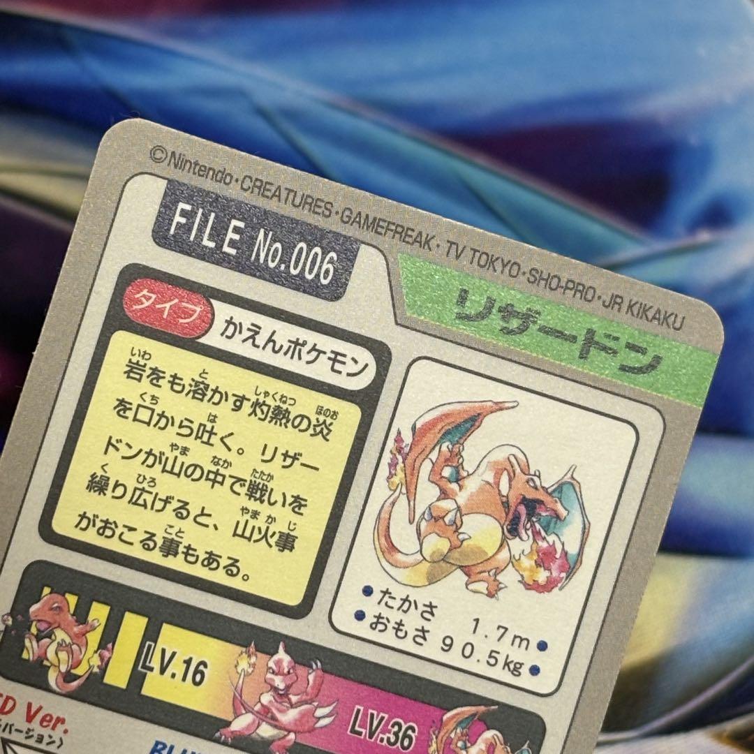 ポケモン リザードン FILE No.006