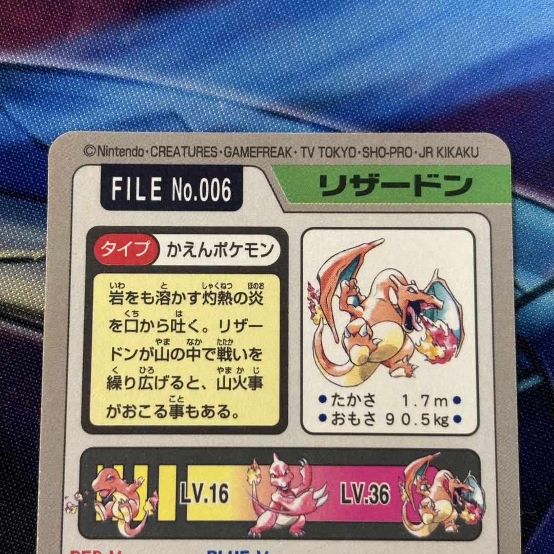 ポケモン リザードン FILE No.006