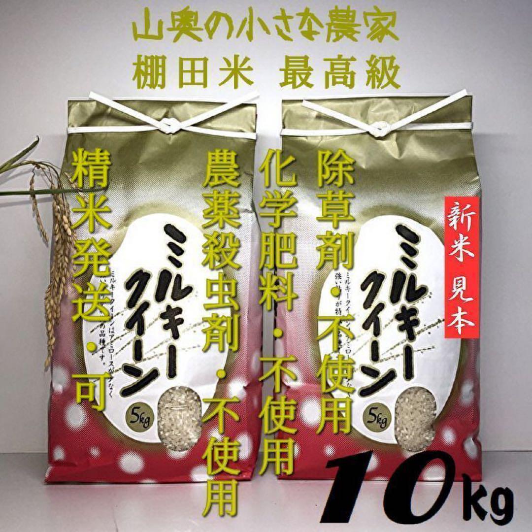 自然栽培　ミルキークイーン　無農薬　玄米１０ｋｇ　精米して発送　ミルキークィーン