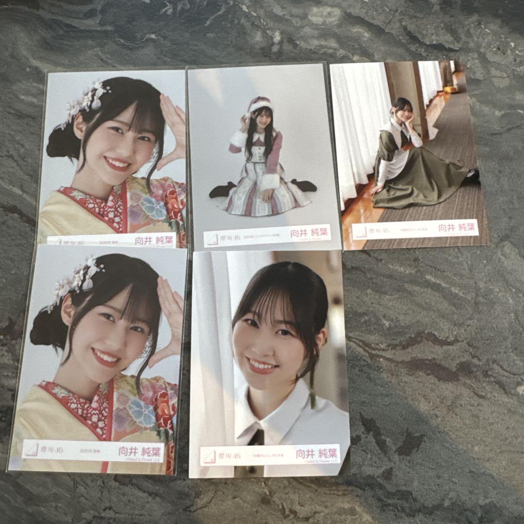 Amazon.co.jp: 櫻坂46 向井純葉 承認欲求 封入 生写真 コンプ