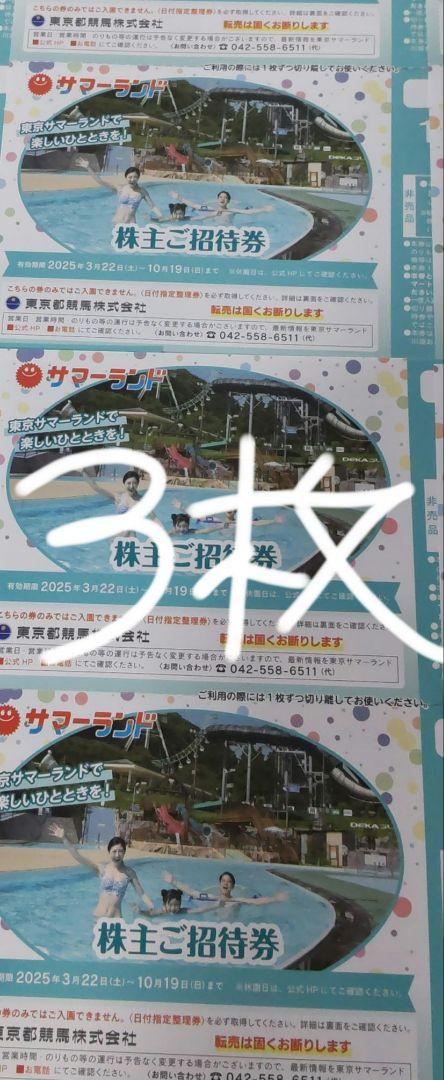 3枚　夏季利用可　サマーランド　１デイパス　株主ご招待券