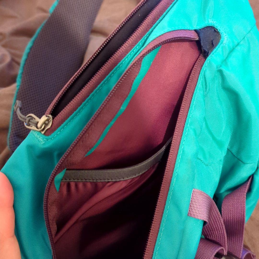 【即納】 Patagonia 梨花使用 アトムスリング バッグ