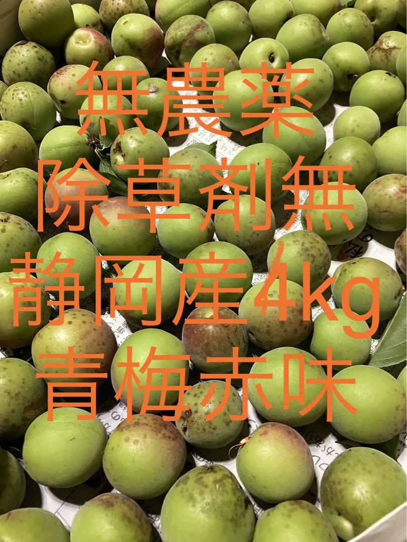 無農薬 青梅箱60サイズ 4kg 前後　静岡産 赤味