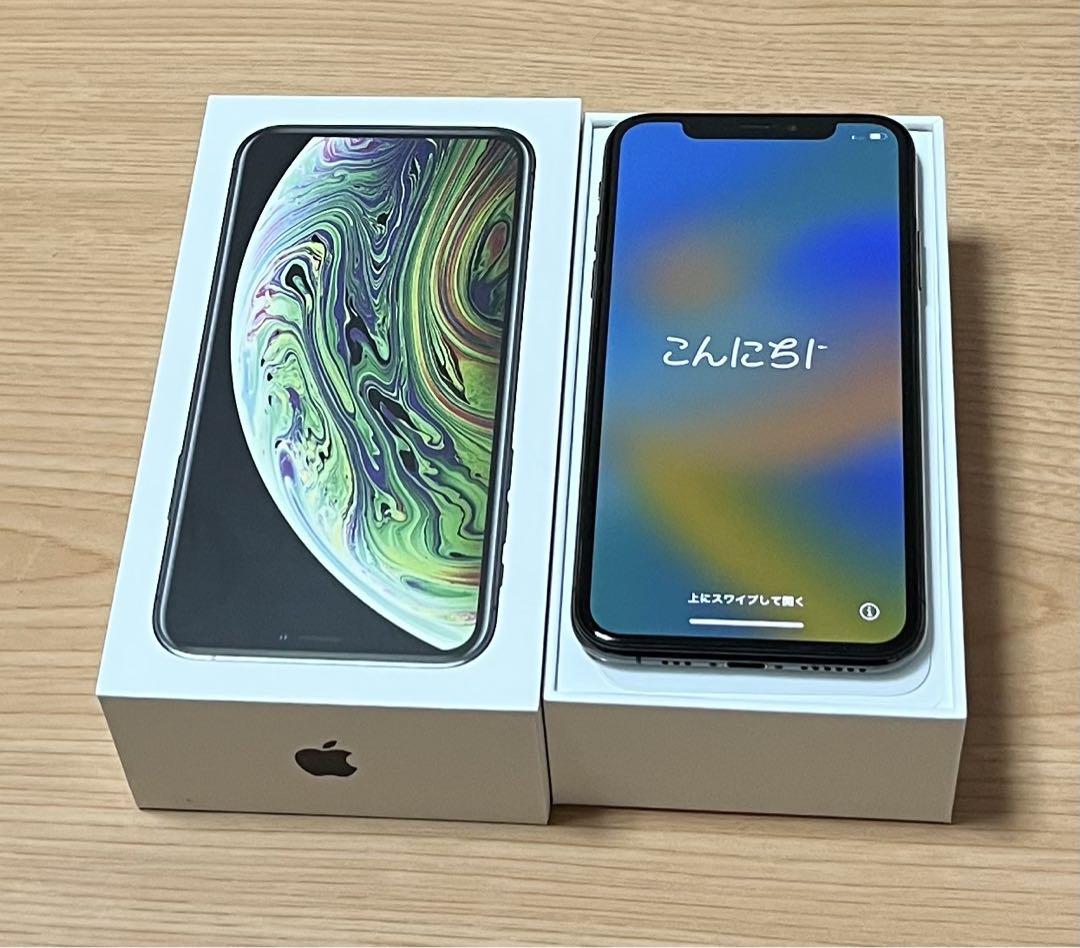 iPhone Xs Space Gray 64 GB docomo