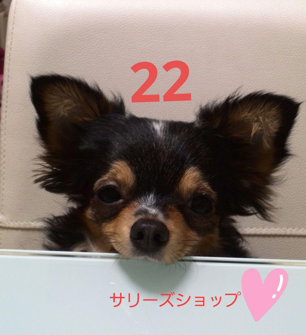 専用❗4点おまとめ
