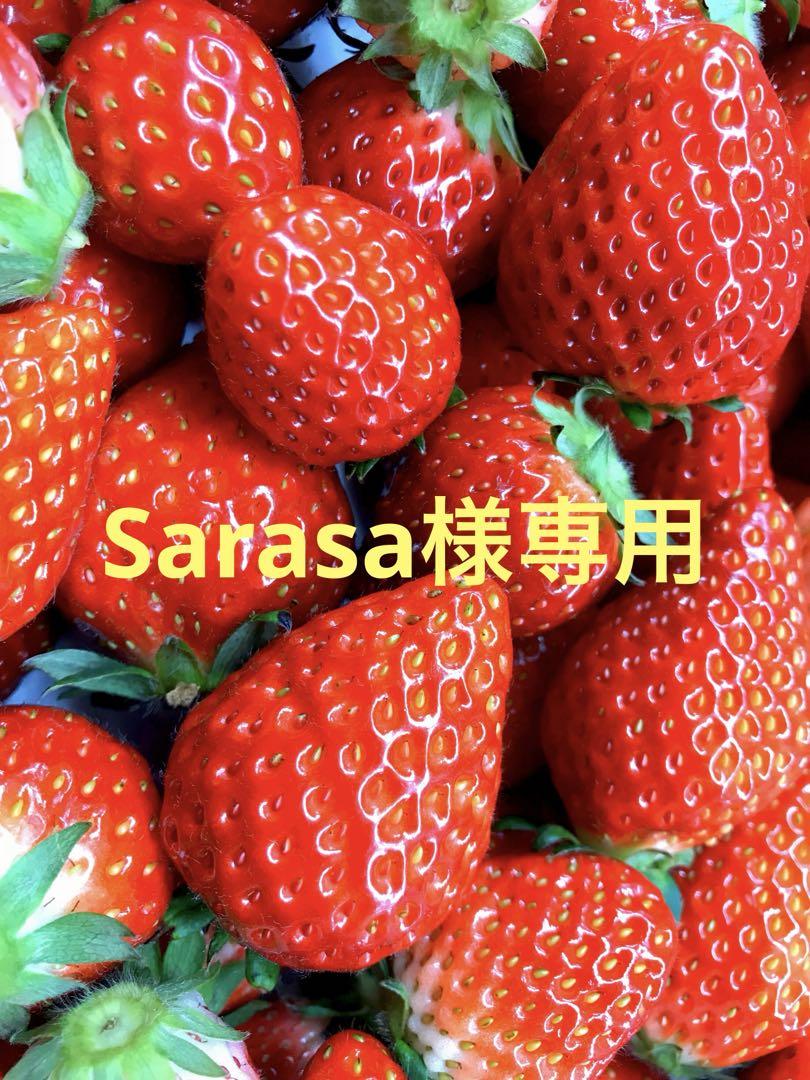 Sarasa様専用 5,722円