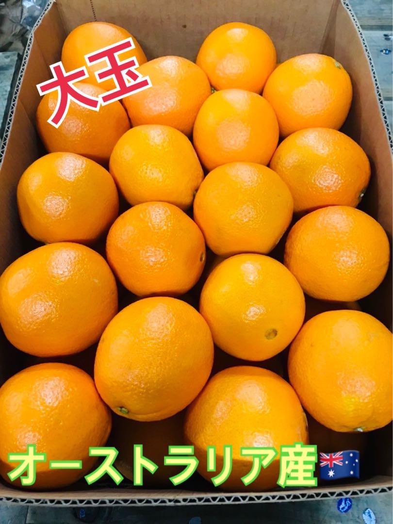 大玉ネーブルオレンジ　オーストラリア産