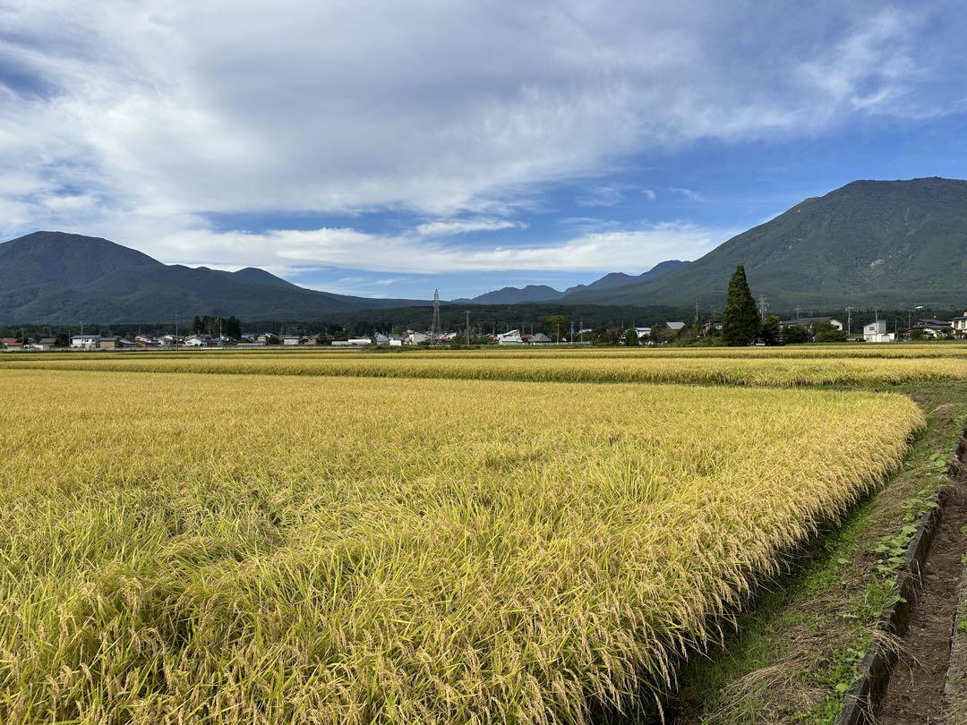 kameko　(白米) 令和6年産　長野産　コシヒカリです。
