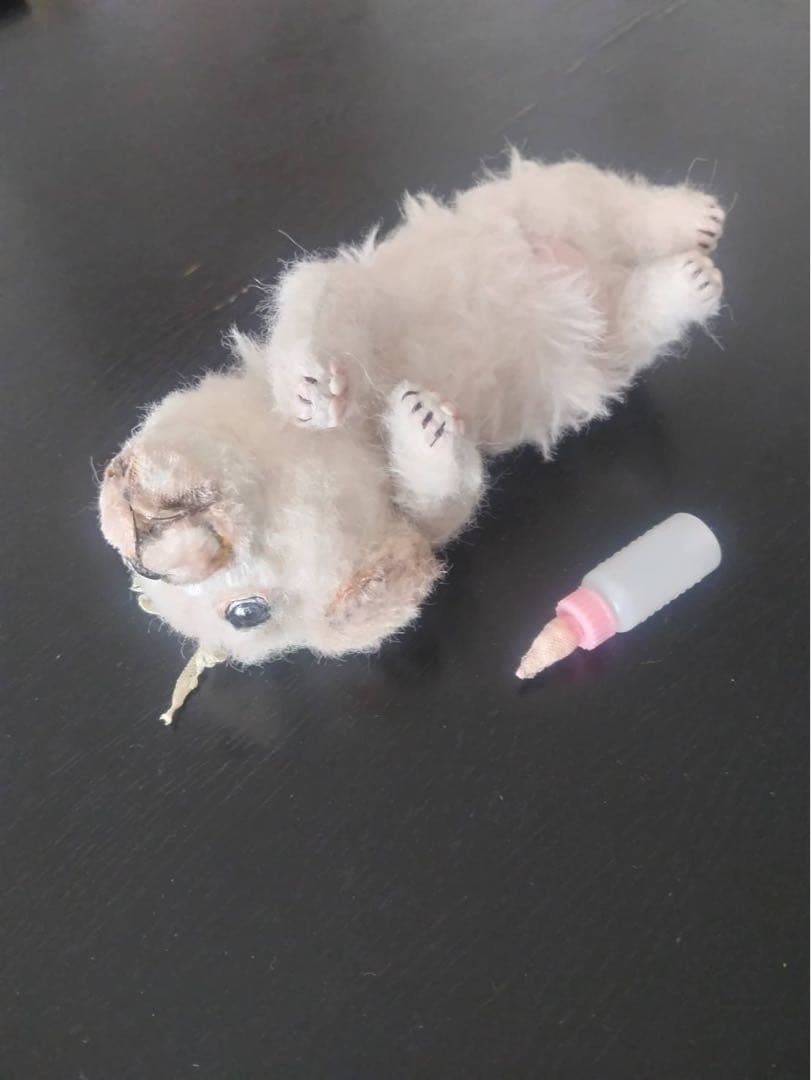 な渡辺利絵さん フレブルのぬいぐるみ♥に近い