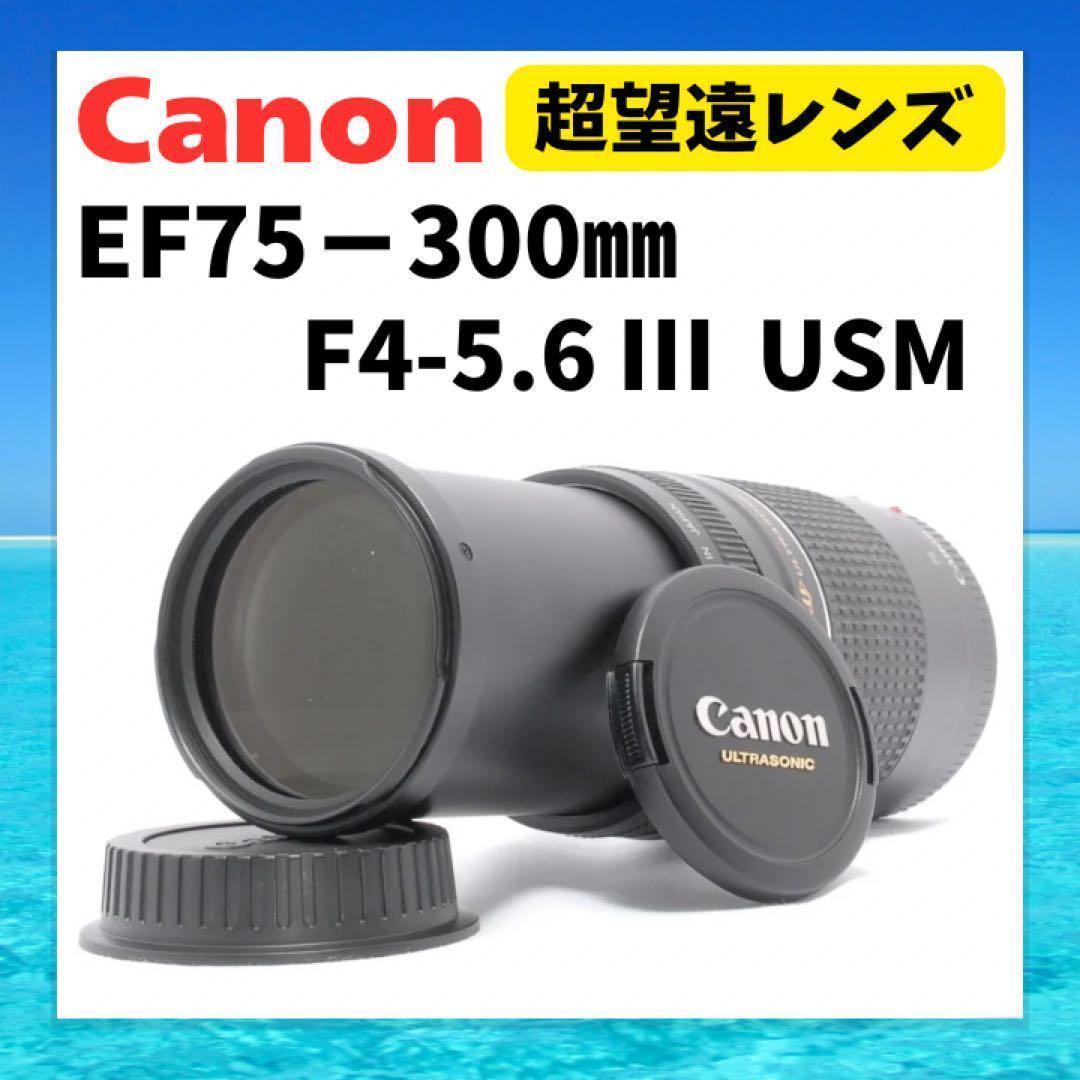 高速ピント合わせ⭐️Canon EF75-300 Ⅲ USM⭐️超望遠レンズ