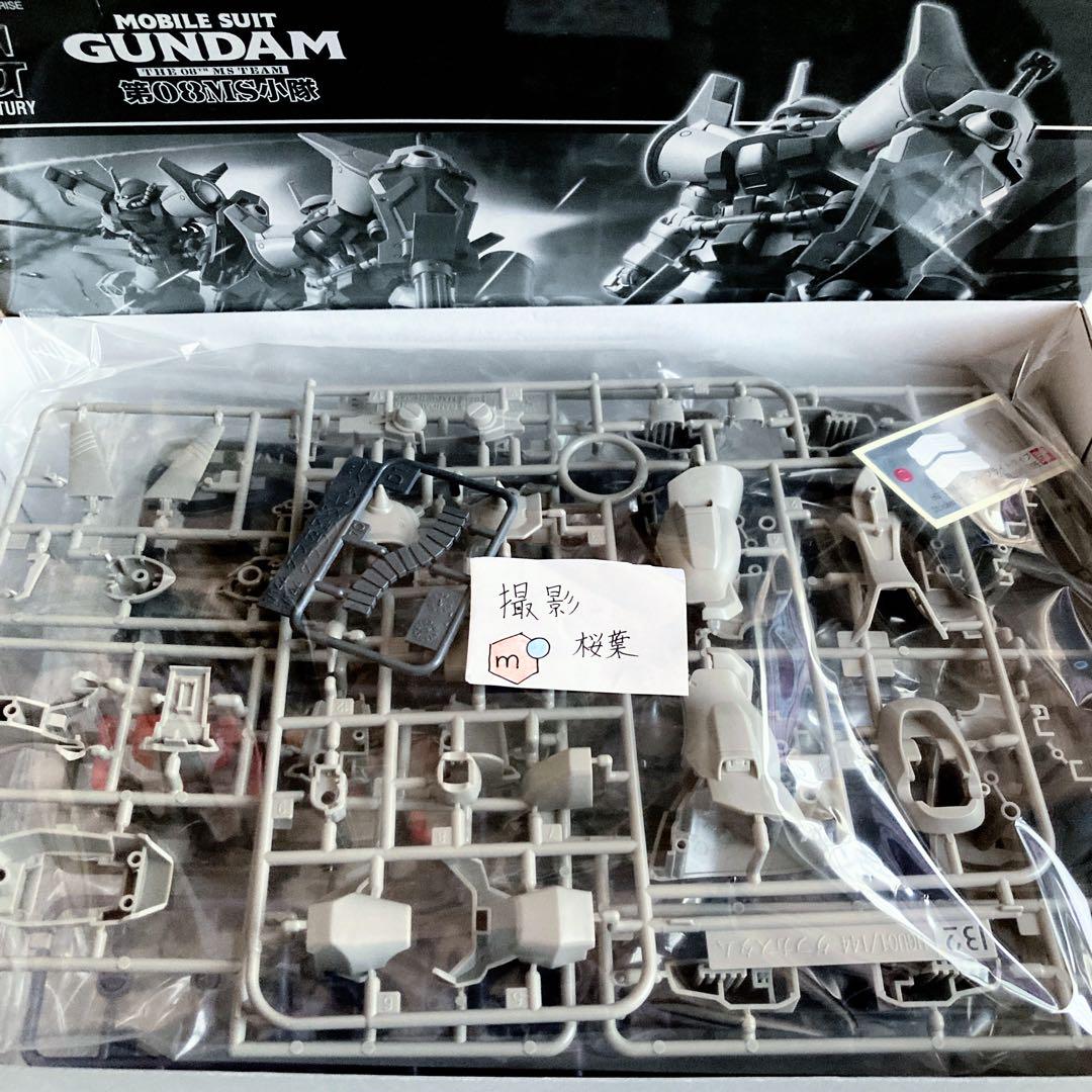 第08ms小隊　ガンプラ hg グフフライトタイプ 未組立 箱傷み有