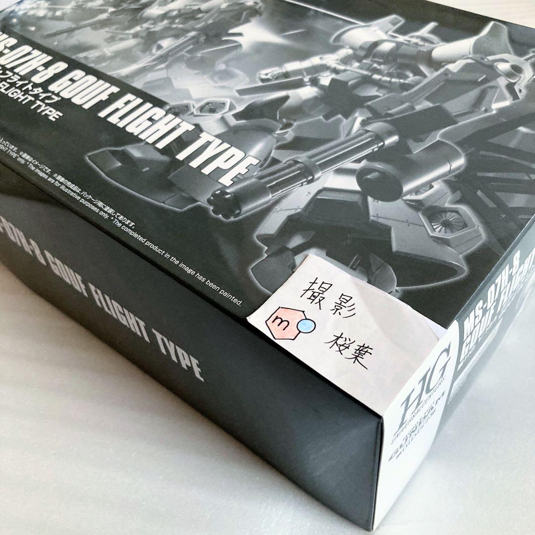 第08ms小隊　ガンプラ hg グフフライトタイプ 未組立 箱傷み有
