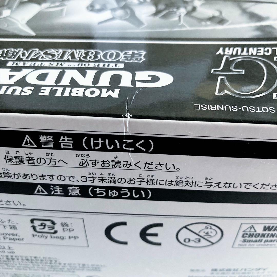 第08ms小隊　ガンプラ hg グフフライトタイプ 未組立 箱傷み有