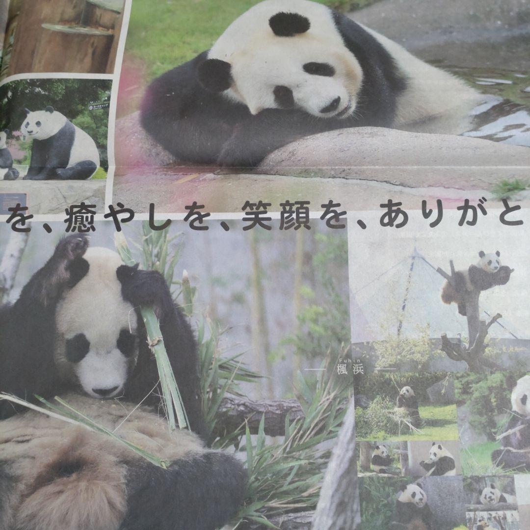 アドベンチャーワールド パンダ モバイルバッテリー 良浜 結浜