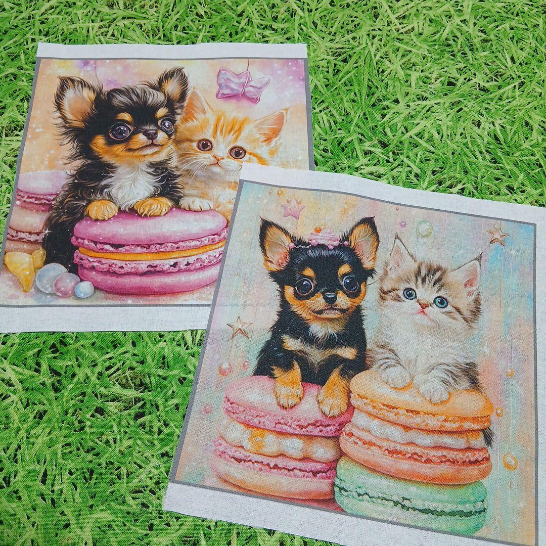 オーダー用犬パネル確認ページ8