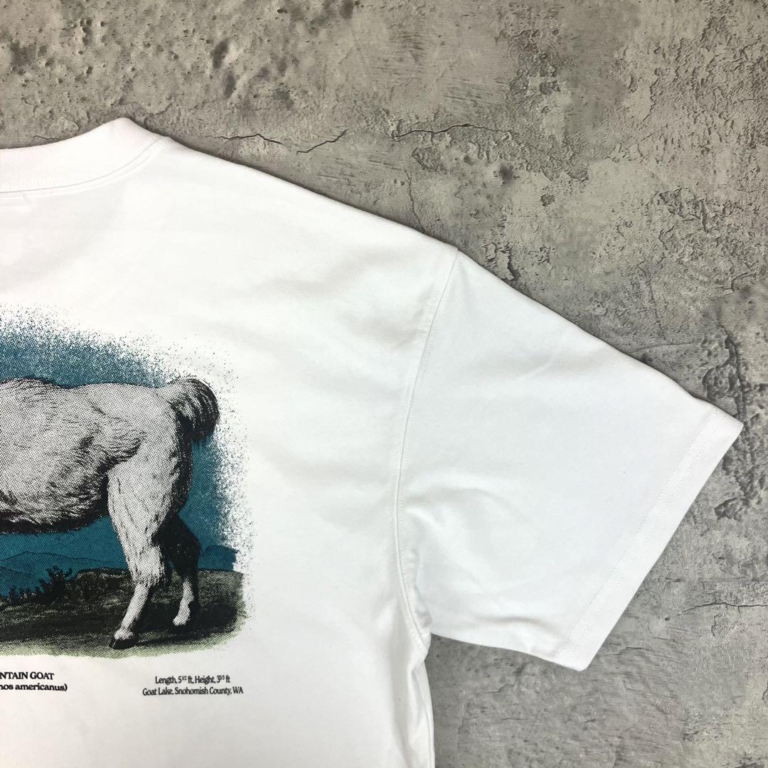 新品入荷 ACG ナイキ NIKE GOAT M ホワイト バックプリント 古着 Tシャツ トップス