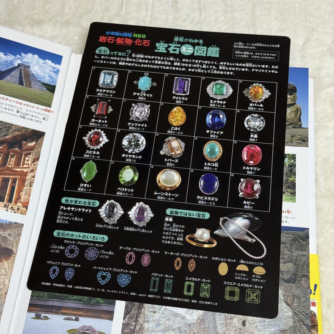 【良品・カバーあり】小学館の図鑑NEO 全巻20冊セット 良品・カバーあり】小学館の図鑑NEO 全巻20冊セット - メルカリ