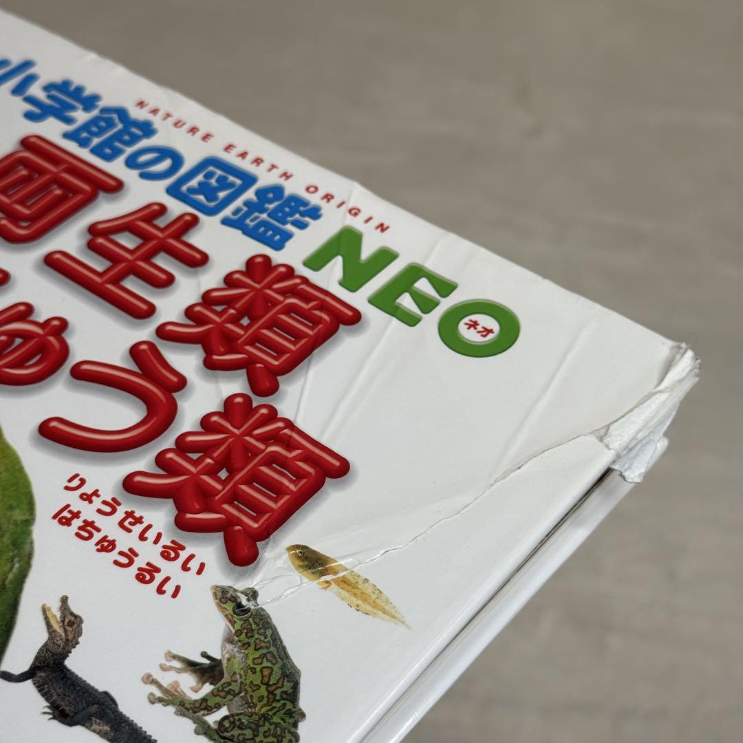 【良品・カバーあり】小学館の図鑑NEO 全巻20冊セット 良品・カバーあり】小学館の図鑑NEO 全巻20冊セット - メルカリ