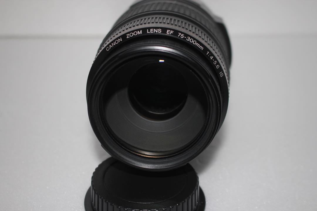 キャノン手ぶれ補正レンズ Canon EF 75-300mm IS レンズ(ズーム)