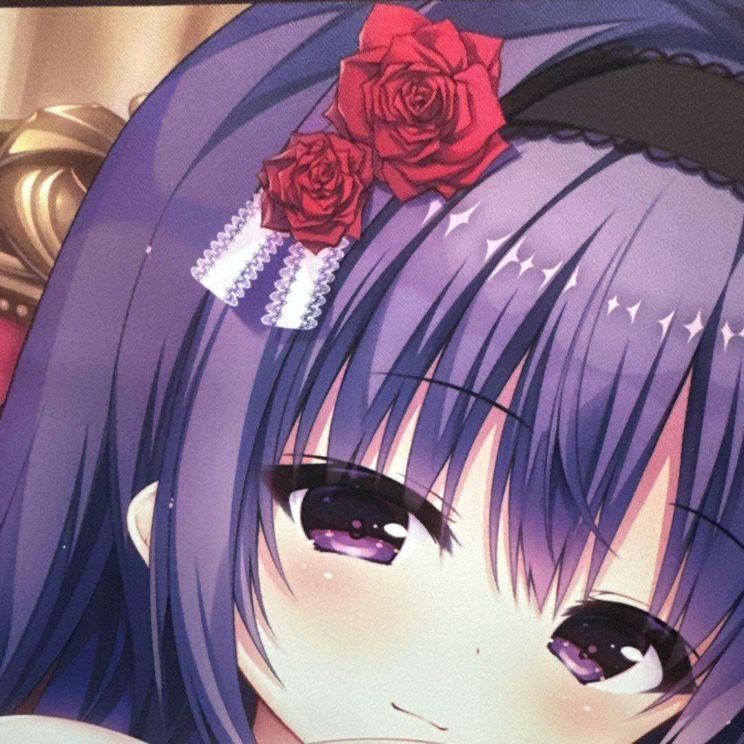 まどそふと セレクトオブリージュ 特典タペストリー 奏命