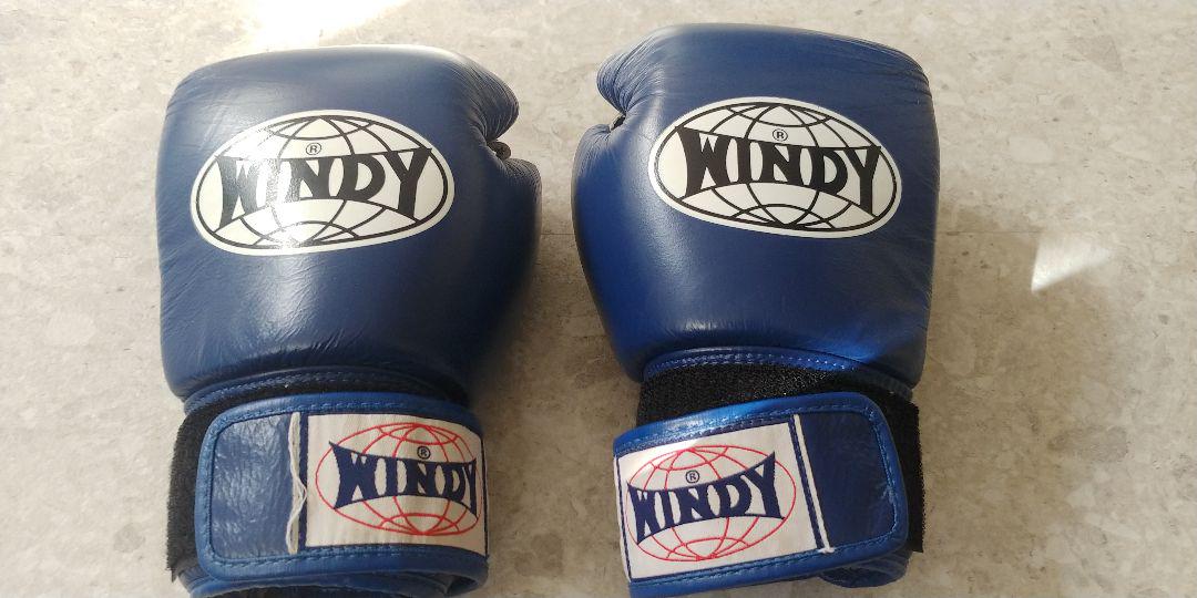【美品】WINDY ボクシンググローブ 8 oz 青 WINDY ボクシンググローブ 8オンス - メルカリ