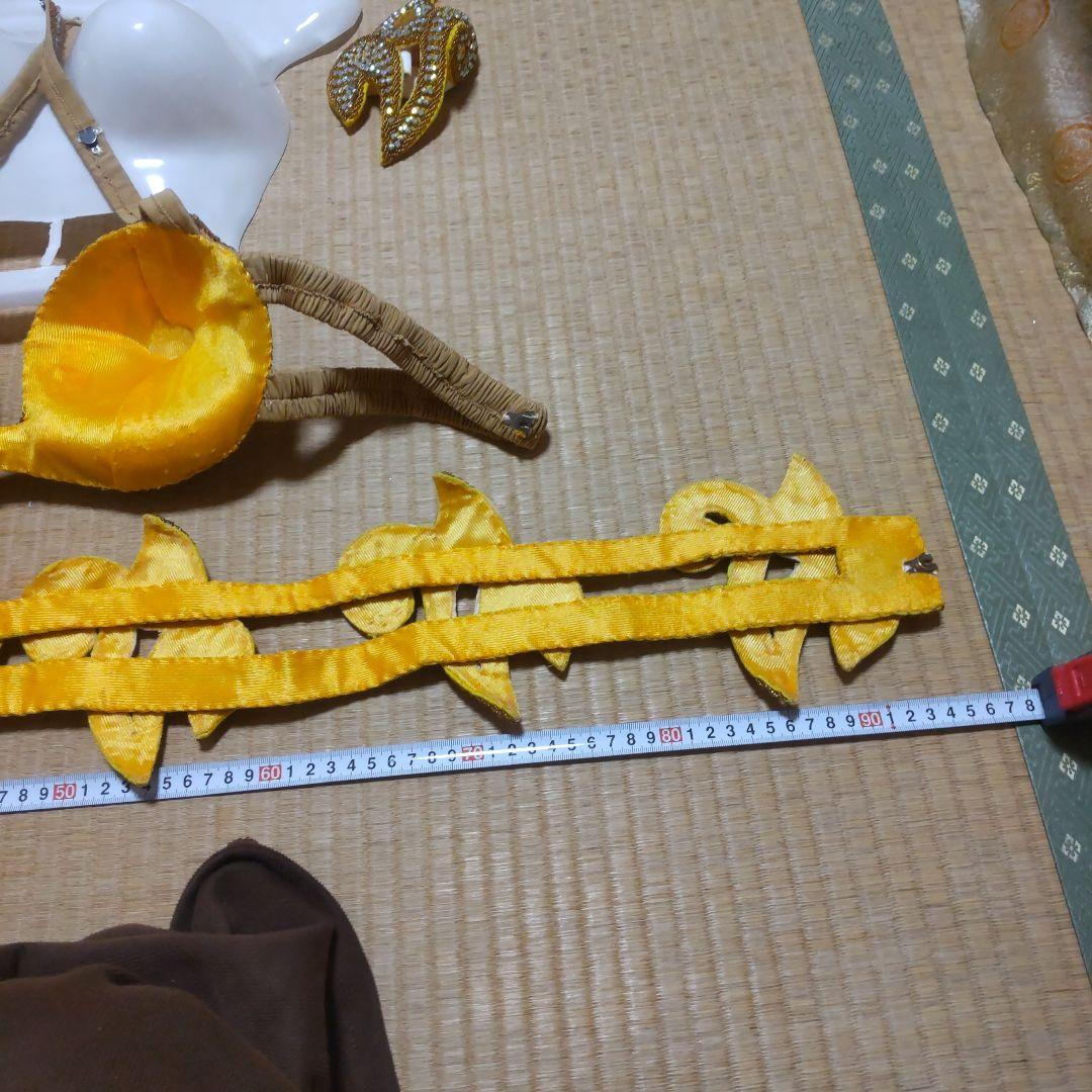 ゴールド ベリーダンス セットアップ