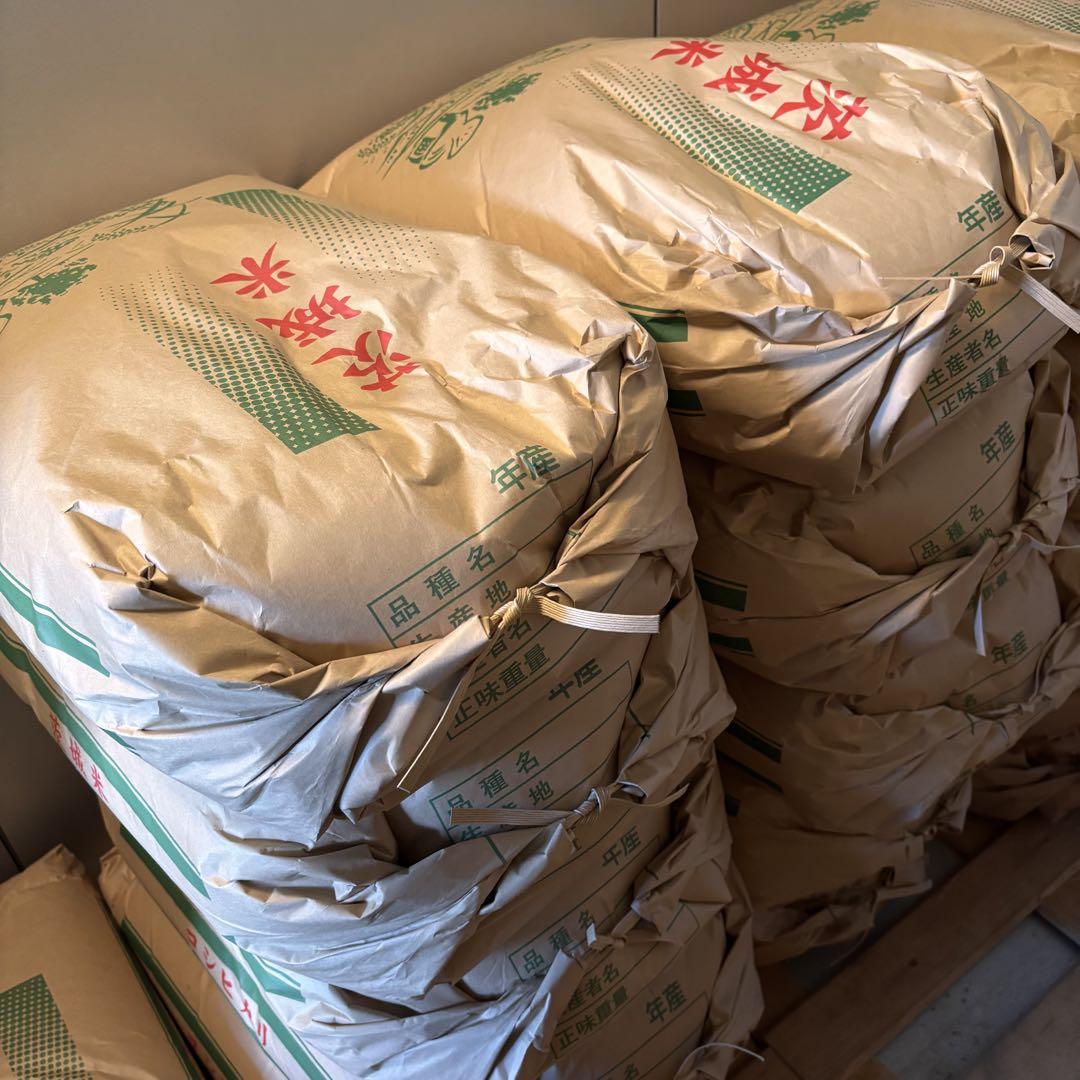 令和5年度 コシヒカリ 20kg 玄米