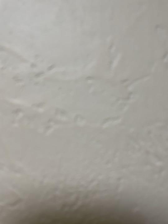 T様専用