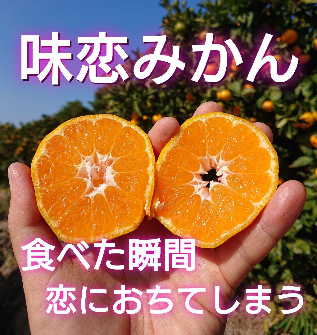 まーご様 お得な熊本産 青島みかん