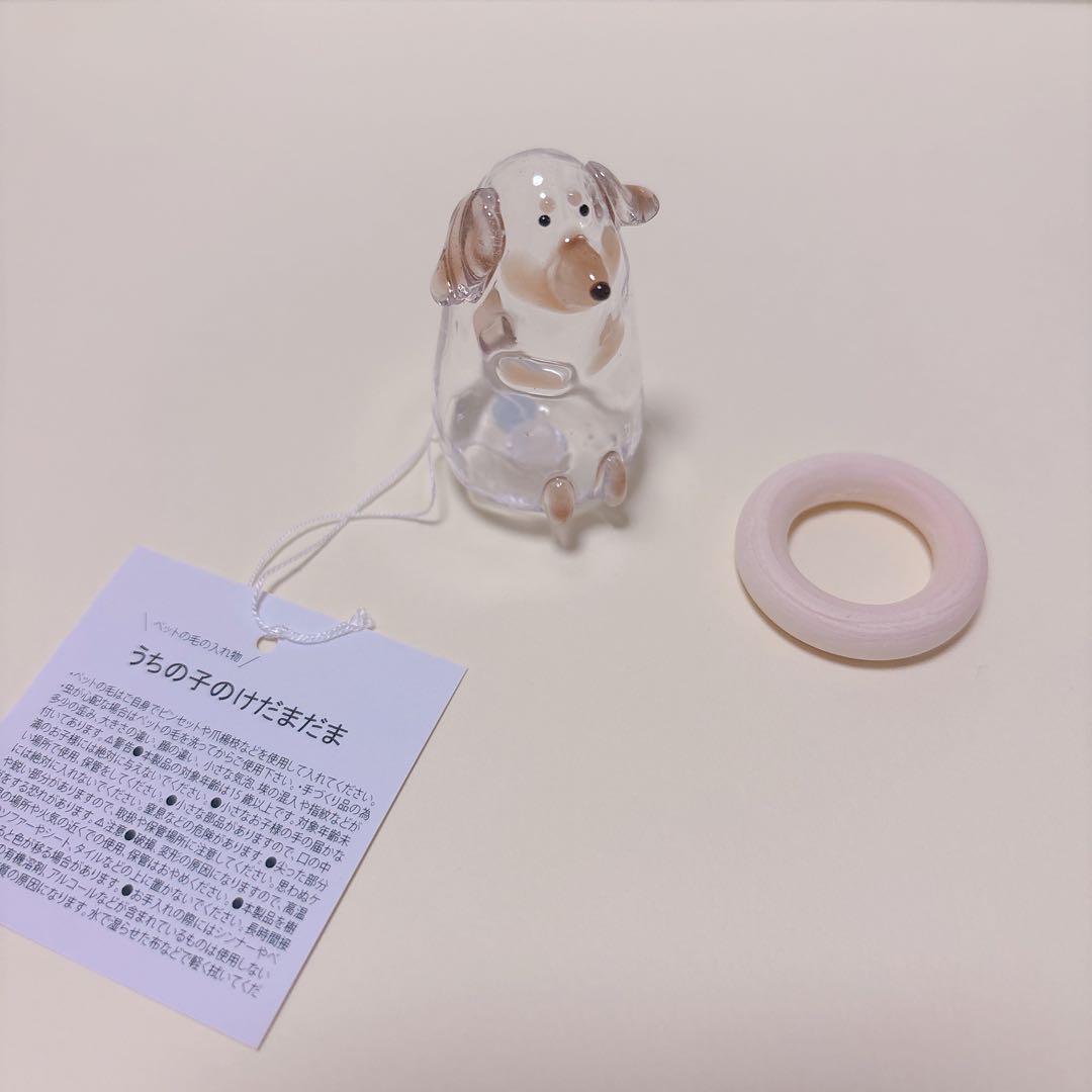 けだまだま　ダックスフンド　うちの子のけだまだま