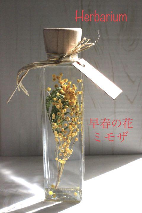 メルカリ 春の花 ミモザ おしゃれなウッドキャップ フラワー ガーデン 1 0 中古や未使用のフリマ メルカリ 春の花 ミモザ おしゃれなウッドキャップ フラワー ガーデン 1 0 中古や未使用のフリマ