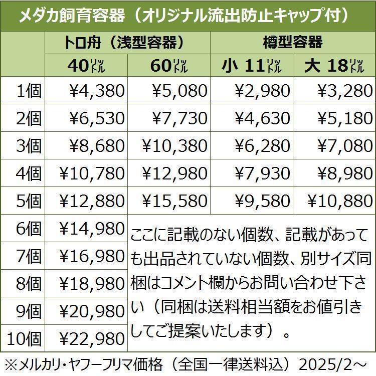 メダカ 飼育ケース 60㍑x2個 オーバーフロー加工済 めだか飼育容器 金魚鉢