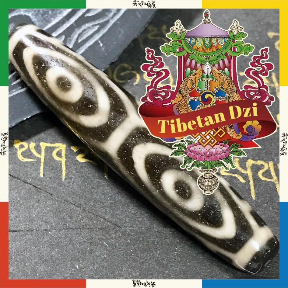 龍 六眼 チベット天珠 No.37