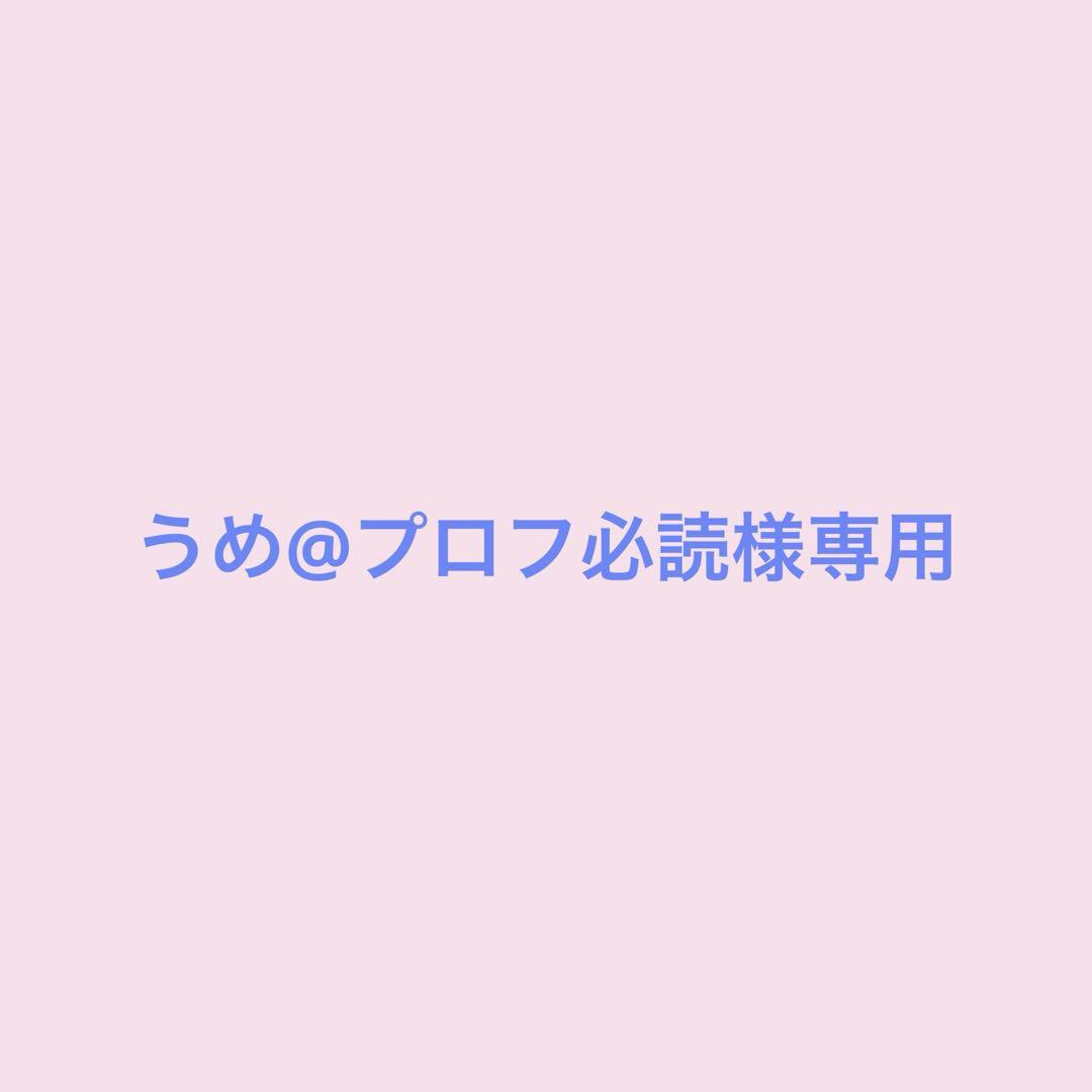 めい✧プロフ必読✧様専用ページ