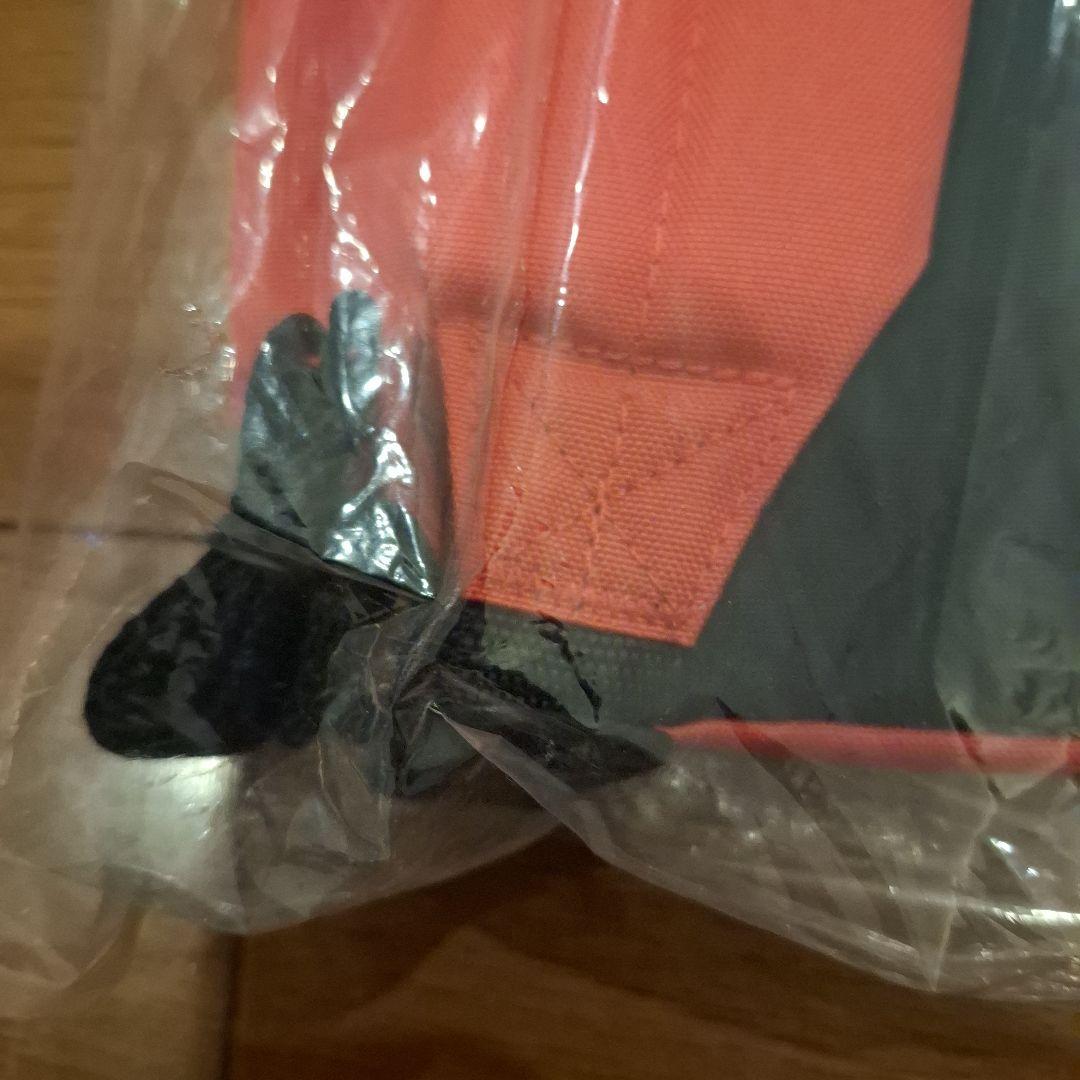 イーストパック　スヌーピーハウス　未使用　新品