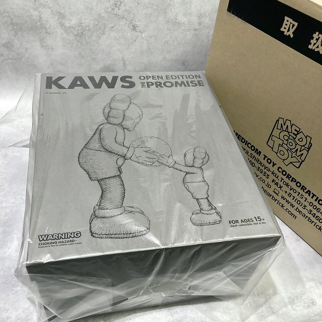 新品正規品 KAWS THE PROMISE BROWN カウズ ブラウン 画像3