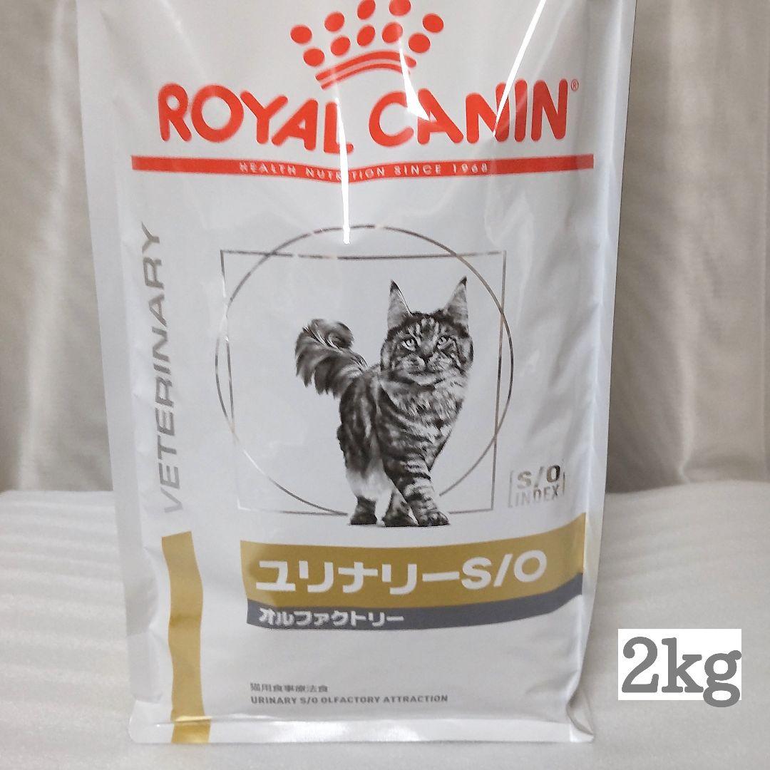 ロイヤルカナン　ユリナリーS/O　ドライ　2kg 猫用 Amazon | ロイヤルカナン キャットフード ユリナリー S/O 2kg