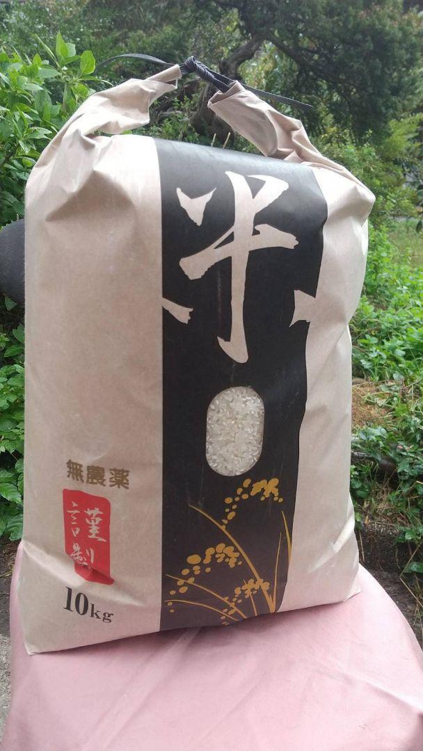 玄米：農薬不使用コシヒカリ１０キロ⭐️農家直送