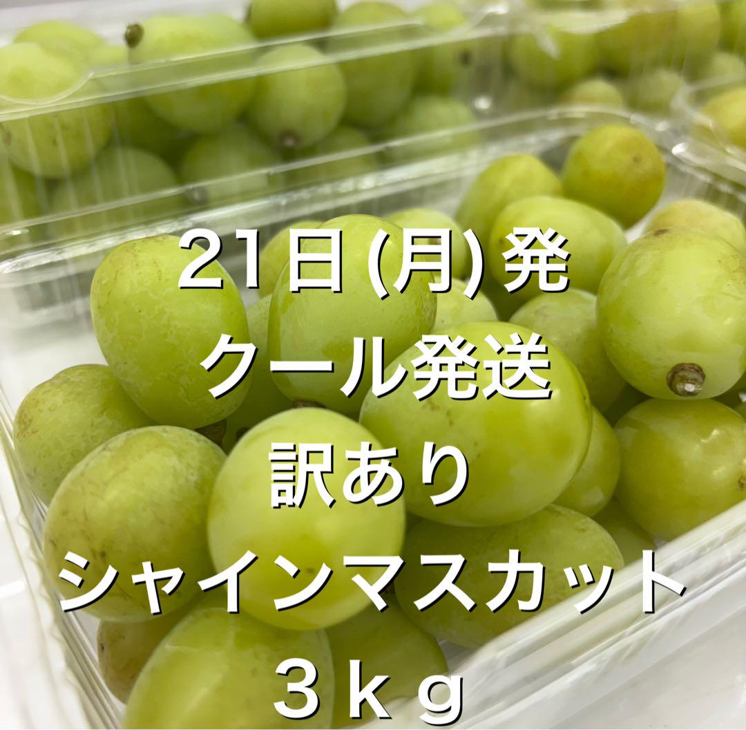 7月21日発送〇箱別3kg〇クール便送料込み〇訳ありシャインマスカット