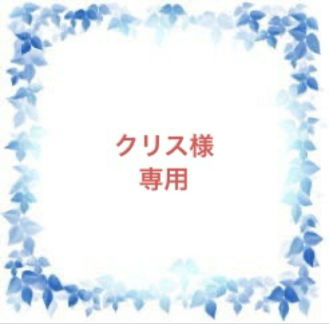 クリス様　専用