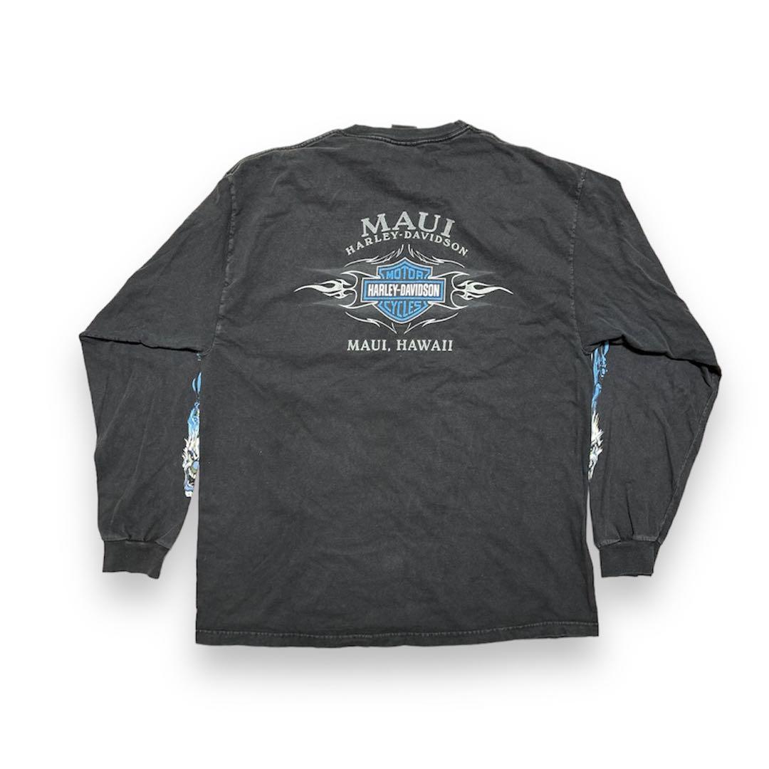 00s Harley Davidson スカルフレイムTシャツ